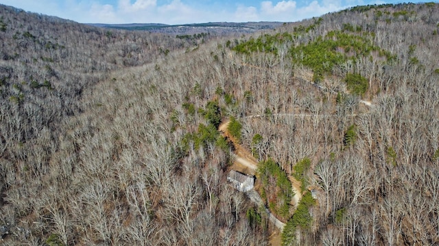 view of mountain feature with a forest view