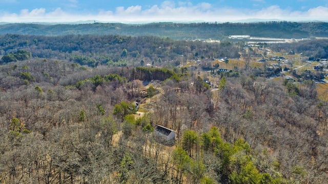 birds eye view of property featuring a mountain view and a view of trees