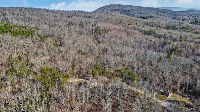 view of mountain feature featuring a wooded view