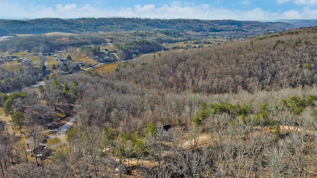 bird's eye view featuring a mountain view and a wooded view