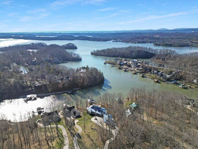 drone / aerial view with a water view and a wooded view