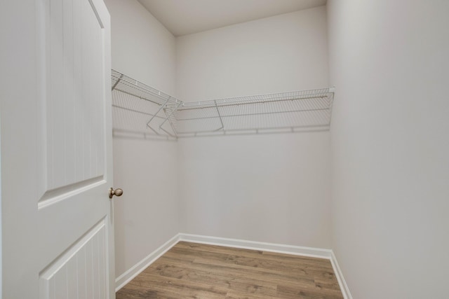 spacious closet featuring wood finished floors