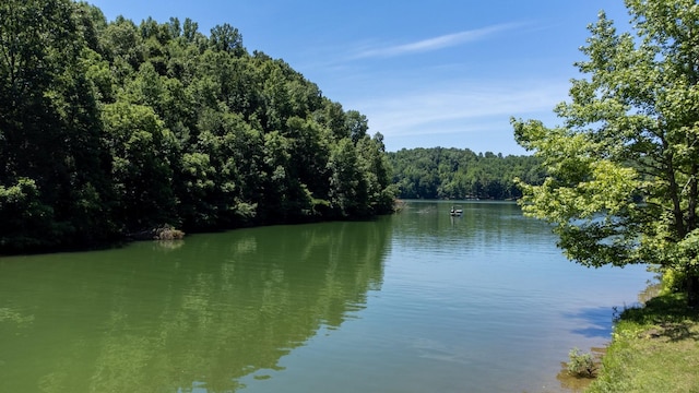 Listing photo 3 for 0 Turkey Creek Boat Dock Rd, Tullahoma TN 37388