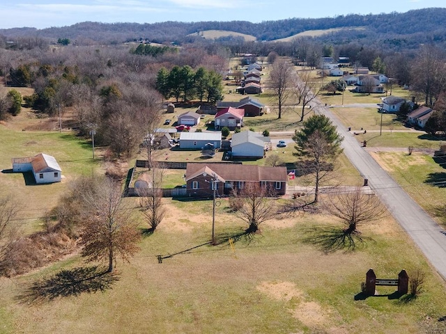 bird's eye view