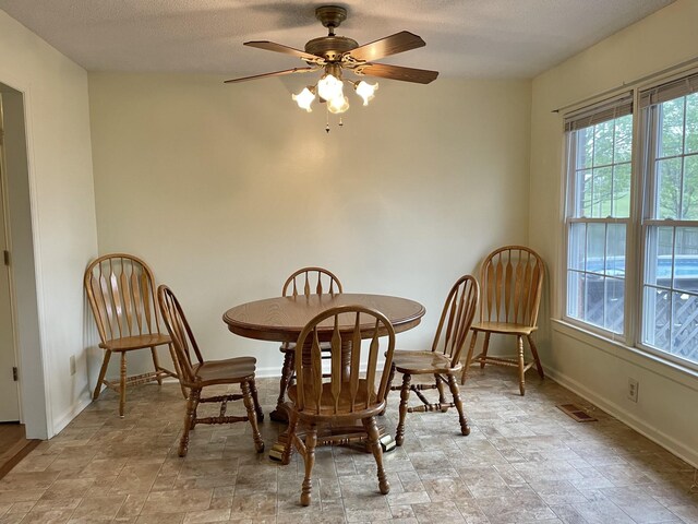 1669 Cornersville Hwy, Lewisburg, TN 37091 - dining room featuring baseboards, visible vents, plenty of natural light, and stone finish floor