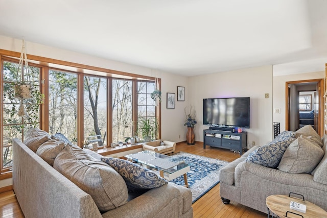 living room with hardwood / wood-style floors