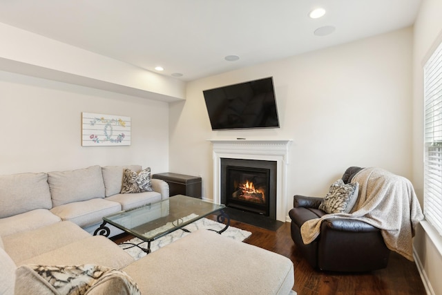 living area with a fireplace with flush hearth, wood finished floors, and recessed lighting