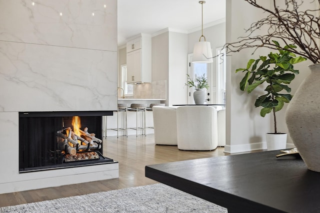 interior space with a fireplace, light wood-style flooring, and crown molding