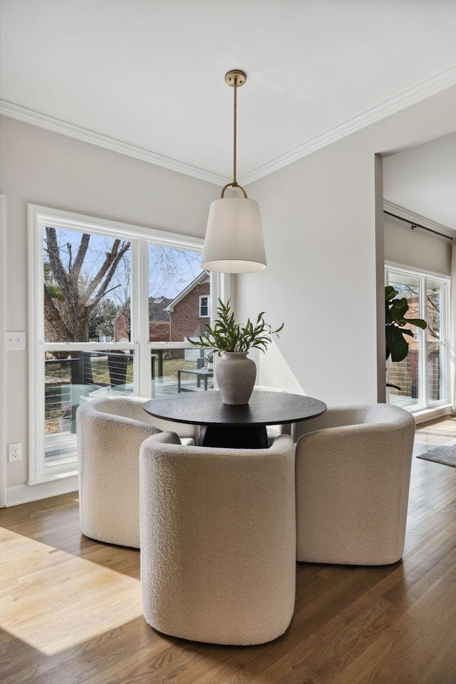 dining room featuring ornamental molding, wood finished floors, and a healthy amount of sunlight