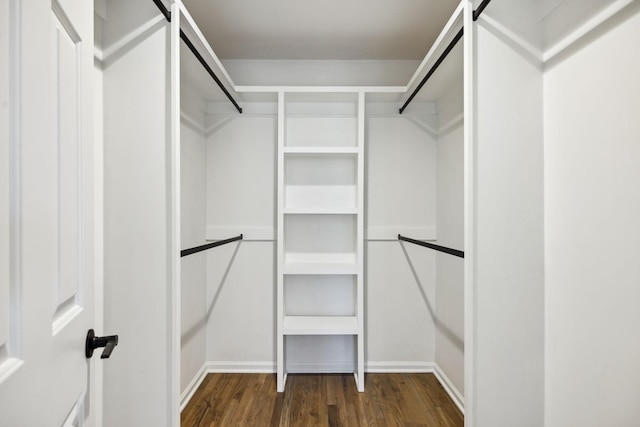 walk in closet featuring a barn door and wood finished floors