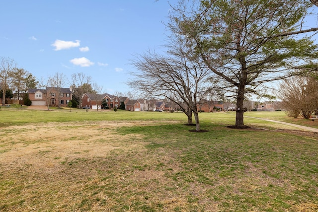 view of yard with a residential view