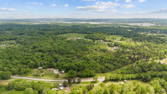 36 Farmstead Ln, Mount Juliet, TN 37122 - photo 2