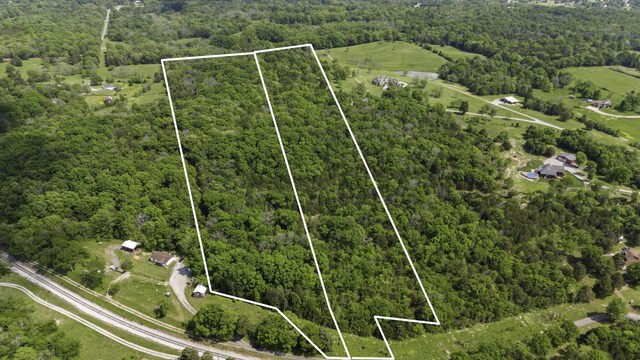 36 Farmstead Ln, Mount Juliet, TN 37122 - photo 6