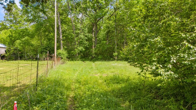36 Farmstead Ln, Mount Juliet, TN 37122 - photo 4