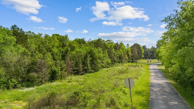 36 Farmstead Ln, Mount Juliet, TN 37122 - photo 5