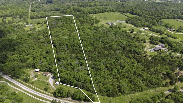 36 Farmstead Ln, Mount Juliet, TN 37122 - photo 3