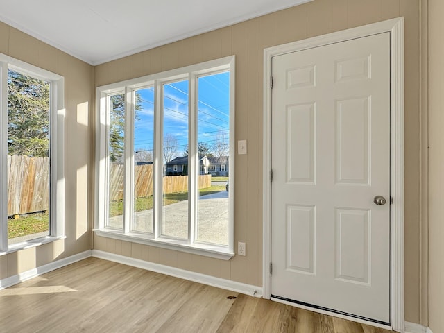 entryway featuring light wood-style flooring, a wealth of natural light, and baseboards