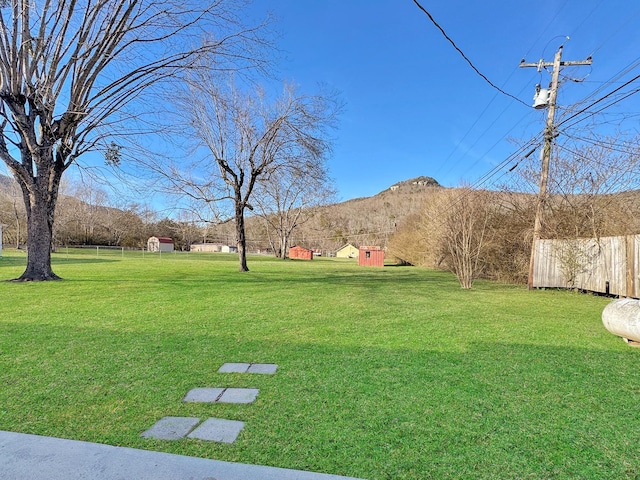 view of yard featuring a mountain view