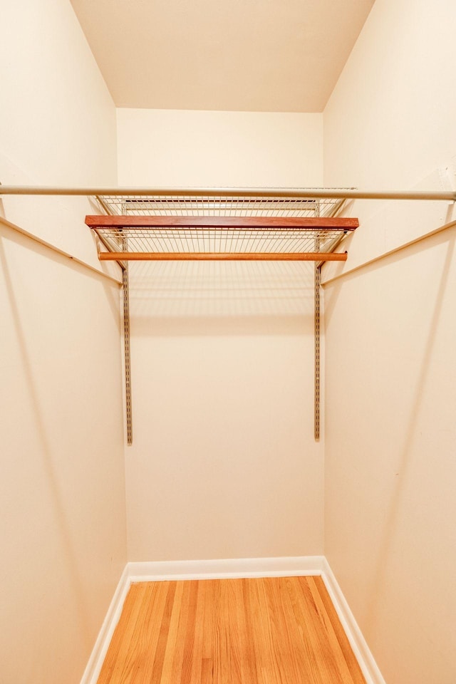 spacious closet with light wood-type flooring