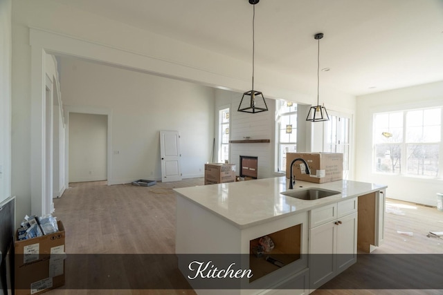 kitchen with a kitchen island with sink, open floor plan, a sink, and wood finished floors