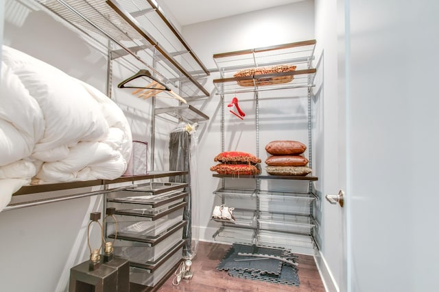 walk in closet featuring wood finished floors