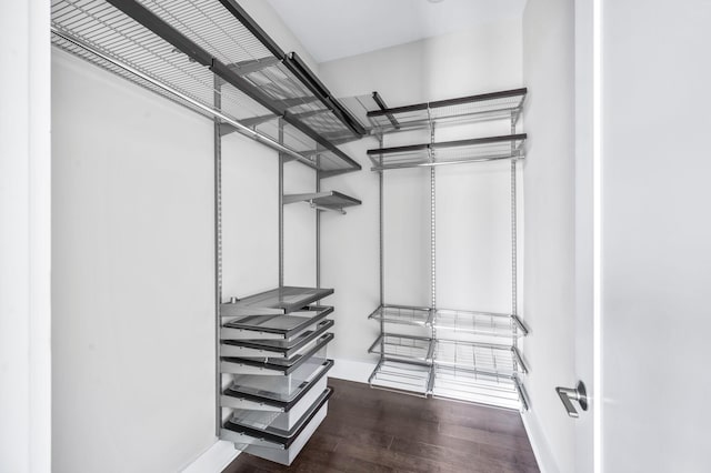 spacious closet featuring wood finished floors