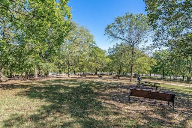 view of community featuring a yard