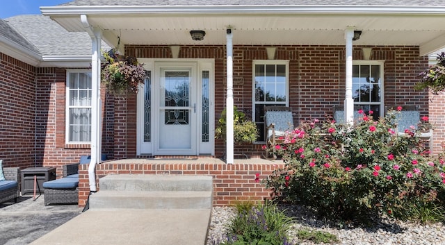 property entrance featuring a shingled roof, a porch, and brick siding