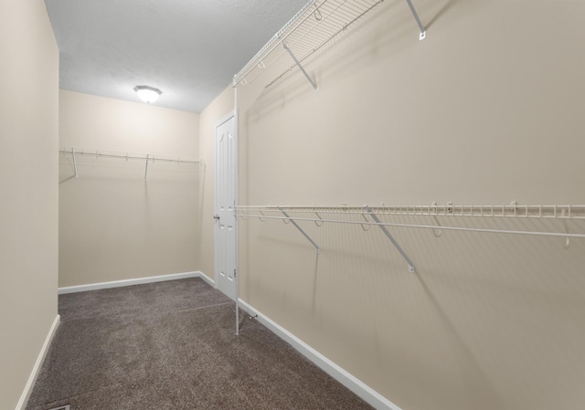 spacious closet featuring carpet