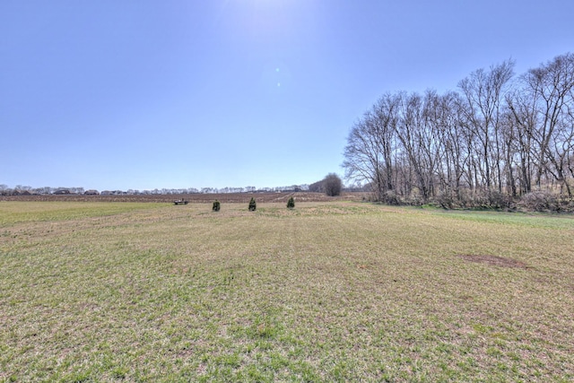 view of yard with a rural view