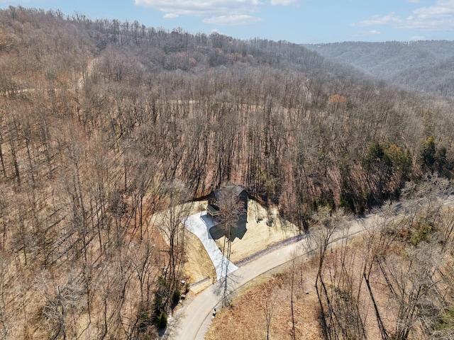 aerial view with a forest view