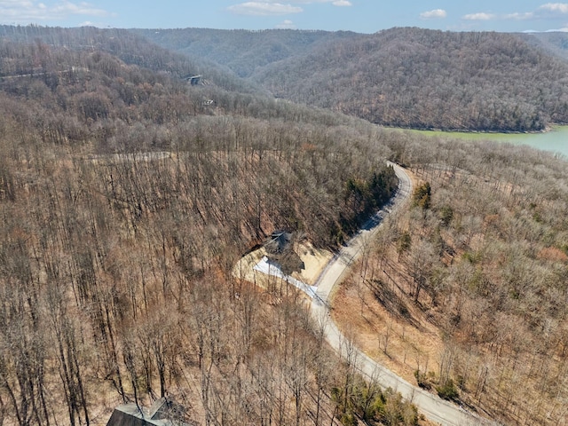 aerial view featuring a mountain view and a view of trees