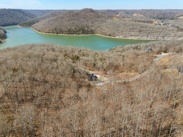 drone / aerial view with a water view and a view of trees