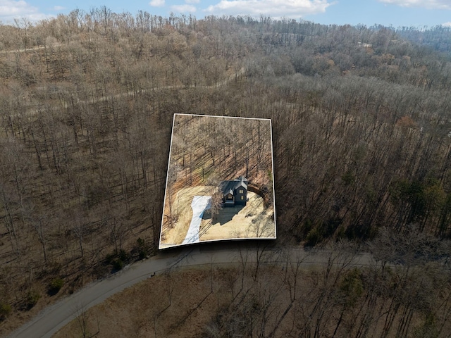 bird's eye view with a view of trees