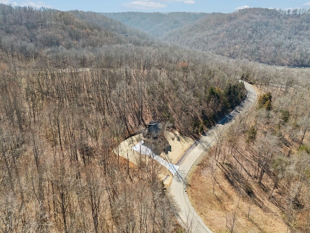 birds eye view of property with a mountain view and a view of trees