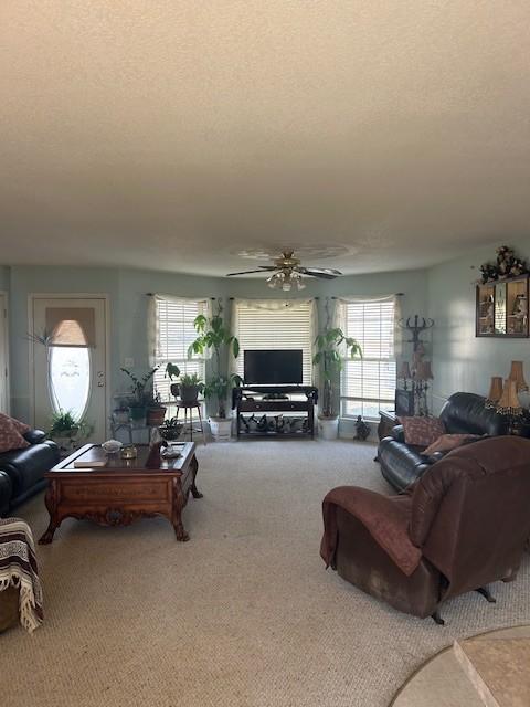 carpeted living area with ceiling fan and a textured ceiling