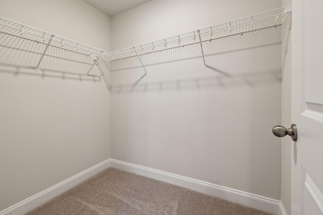 walk in closet with carpet