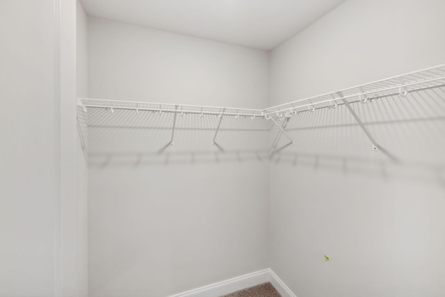 walk in closet featuring carpet