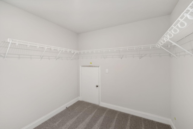 spacious closet with dark colored carpet