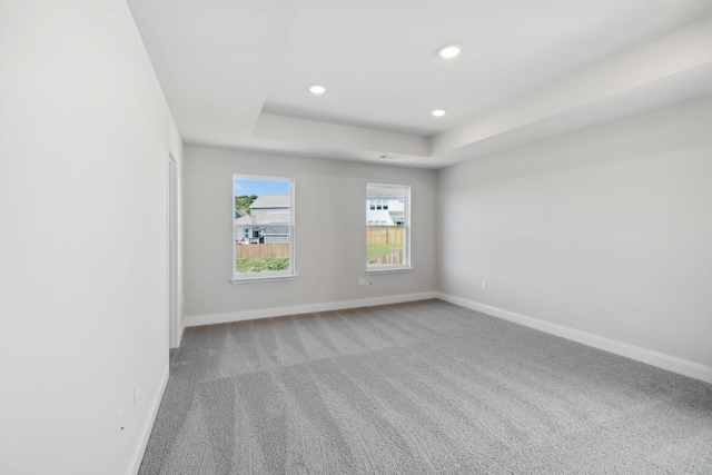 spare room with carpet floors, baseboards, and a raised ceiling