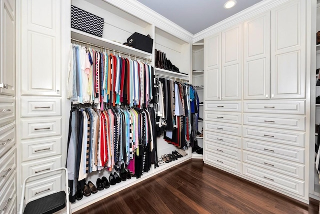 18543 Tillman Mill Rd, Athens, AL 35614 - walk in closet featuring dark wood-style flooring