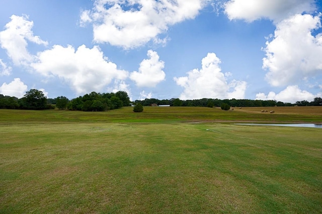 18543 Tillman Mill Rd, Athens, AL 35614 - view of yard