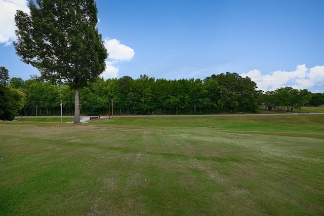 18707 Tillman Mill Rd, Athens, AL 35614 - view of home's community with a yard
