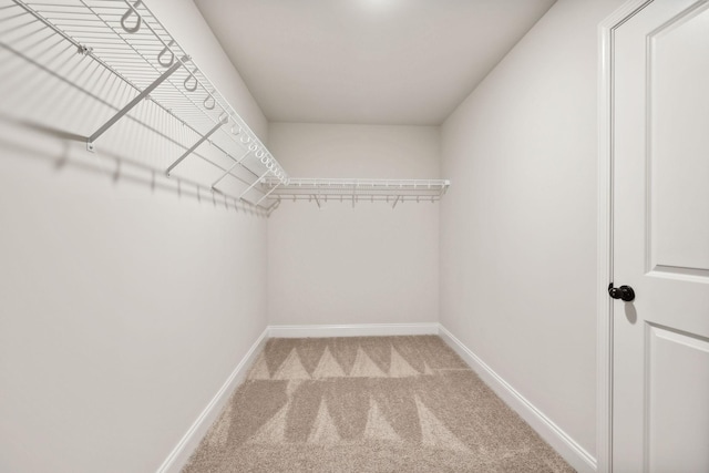 spacious closet featuring light carpet