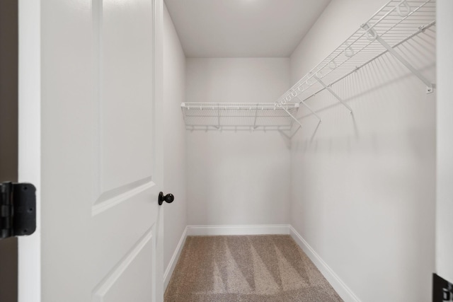 spacious closet with carpet