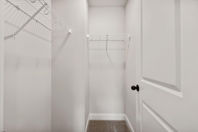 spacious closet with carpet