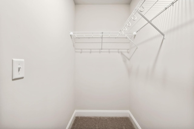 spacious closet with carpet floors