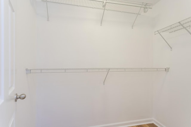 view of spacious closet