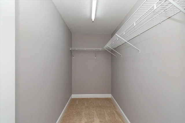 walk in closet featuring light carpet