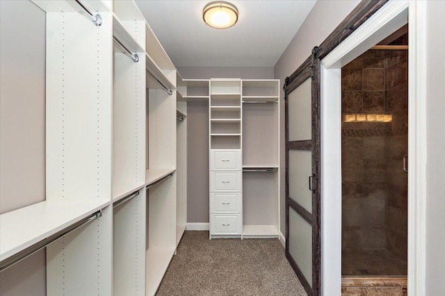 walk in closet featuring a barn door and dark carpet